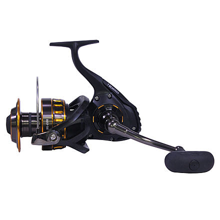 Daiwa BG Spin 6 + 1, 5.3 1 BG6500