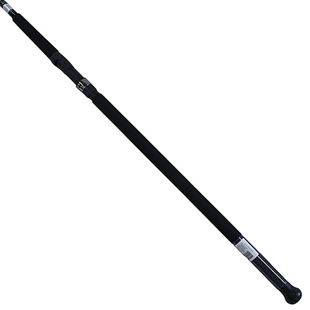 Daiwa Emcast Surf 2pc LnWt 15-30 ECA1102MHFS
