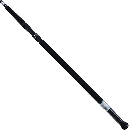 Daiwa Emcast Surf 2pc LnWt 15-30 ECA1202MHFS
