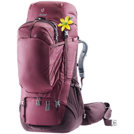 Deuter Aviant Voyager 60 Plus 10 SL - Womens, Maron Aubergine, 351312055430