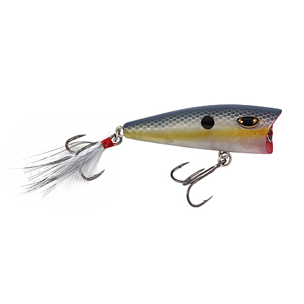 Duckett Fishing BD 60P Popper, Ghost Sexy, 60 mm, BD60-GS