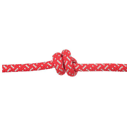 Edelweiss Discover Dynamic Ropes, Red, 8mmx30m, CAD08.30.B