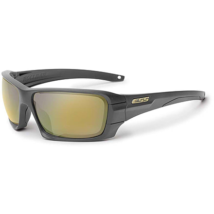 ESS Waterman Rollbar Sunglasses, Carbon Gray Frame, Polarized Mirrored Green Lens, Medium/Large, EE9018-25