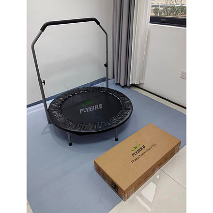 Flybird Fitness FLYBIRD Foldable Trampoline with Safety Pad, Perfect for Home Use, Kids and Adults, FLYBIRDtrampoline202606