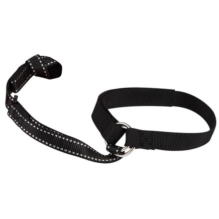 Fritschi Ski Leash