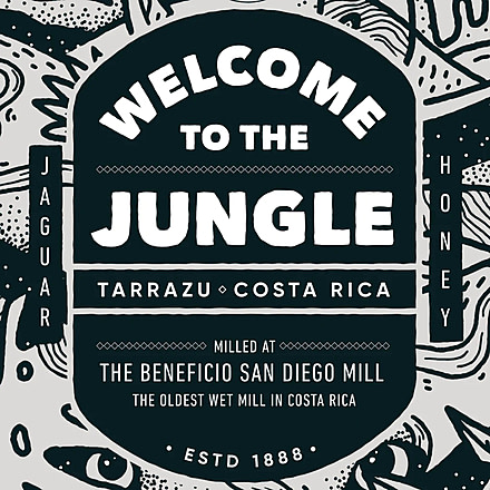 Hibear Artist Series w/ Welcome to the Jungle Coffee Holiday Bundles, art-sr-wlm-jgle-cof