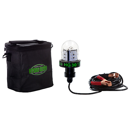 Hydro Glow HG30 Globe Style 30W/12V Deep Water LED Fish Light, Green, HG30