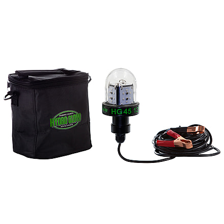Hydro Glow HG45 45W/12V Deep Water LED Fish Light - Green Globe Style 64942
