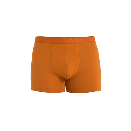 Icebreaker Cool-Lite Merino Anatomica Boxers - Mens, Earth, Medium, IB105246865M