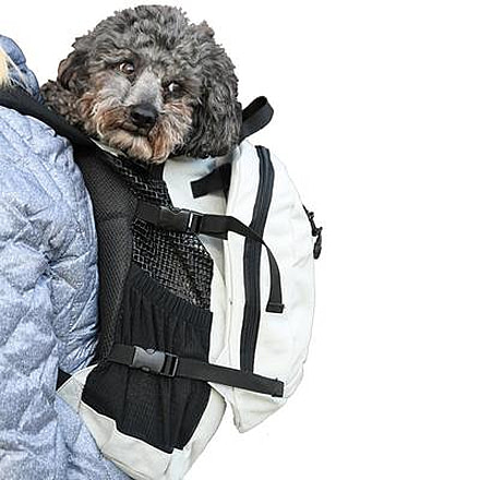 K9 Sport Sack AIR PLUS, Large, Black, KSS-14370