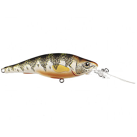 Live Target LiveTarget Yellow Perch Medium Dive Crankbait, 3'-5, 2.87in, 6 Hooks, 3/8 oz, Natural/Matte, YP73M100