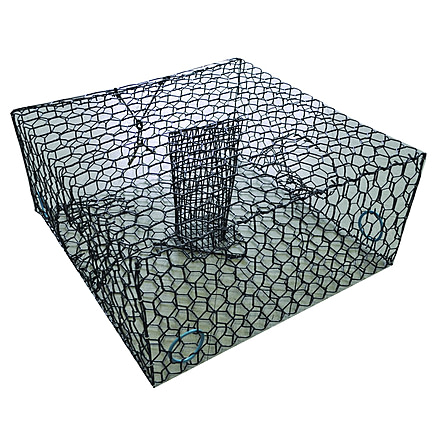 Lee Fisher International Blk Vinyl 1/2 Sz Bl 079055