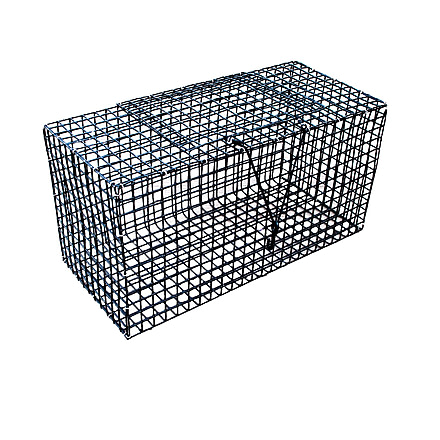 Lee Fisher International Joy Fish Vinyl Coated Wire Fish Pen - 24inx12inx11in 5001228