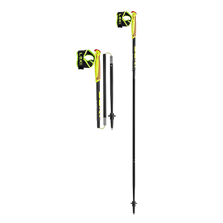 Leki Evotrail FX.One TA Trekking Poles
