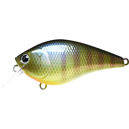 Lucky Craft LC1.5 Crankbait, 2ft, 1/2 oz, Floating, BE Gill, LC1.5-269BEGL