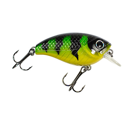 Lunkerhunt Impact Shock 2.5F Bait, Jumbo, 2in &amp; 3/8 oz, IMSBL08