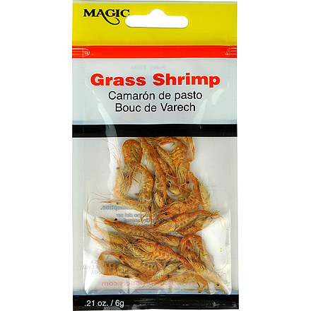Magic Preserved Grass Shrimp