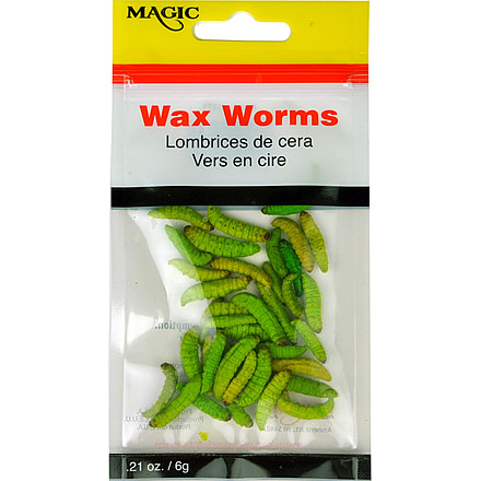 Magic Preserved Wax Worms