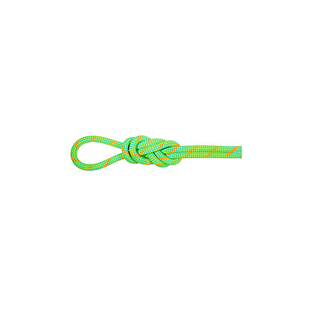 Mammut 8.0 Alpine Dry Rope