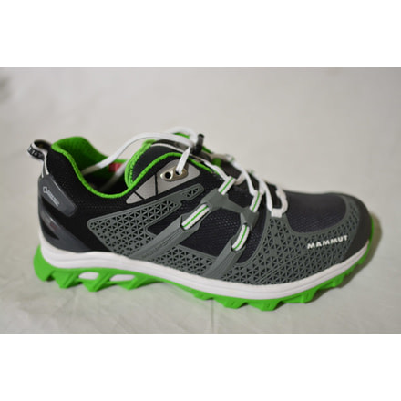 Mammut MTR 141 Protect Low GTX-Men's-US 9.5-Graphite/Dark Spring