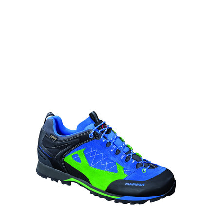 Mammut Ridge Low GTX Shoe-Men's-US 9.5-Imperial/Dark Spring