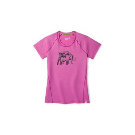 Smartwool Merino 150 Mobile Mammoth Tee-Women's, Meadow Mauve, Medium, SW014089A22-M
