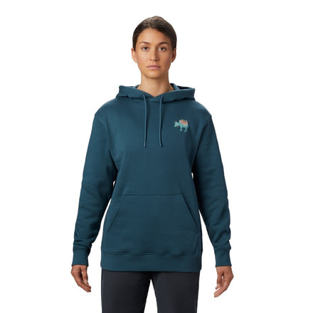 Mountain Hardwear Hotel Basecamp Pullover Hoody - Womens, Icelandic, Medium, 1882291324-M