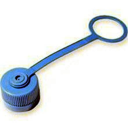 Nalgene N/M Rep. Loop Cap, Blue, Blue, NAL-2180-0011