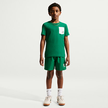 Nike Nike Multi Big Kids Boys Dri-FIT Training Shorts in Green IR4942-365, Green, XS, male, 1015930169-00198959842212