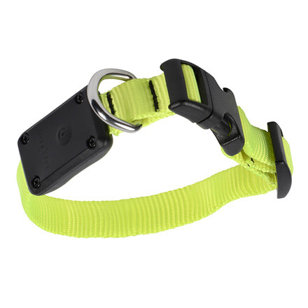 Nite Ize Nite Dawg XS LED Light Up Dog Collar,Neon Yellow NND-03-33XS