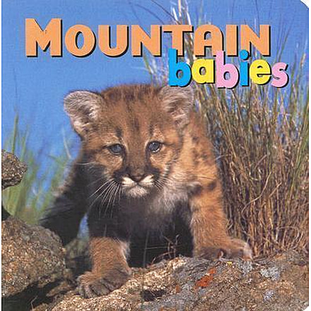 Ntl Book Network Mountain Babies 9781559719407