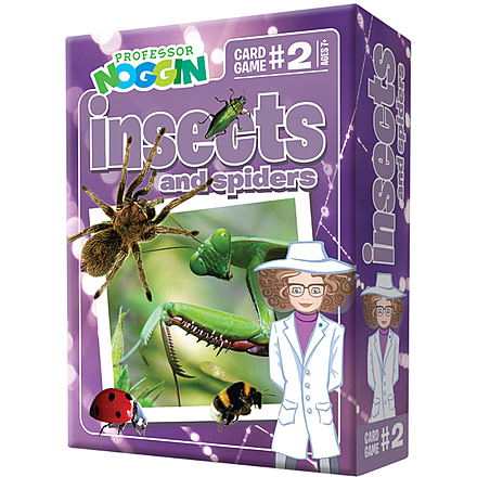 Outset Media Prof Noggin-insect &amp; Spiders 11402