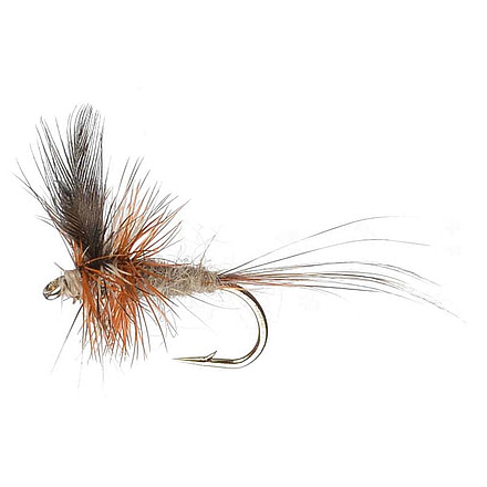 Perfect Hatch Dry Flies Adams, #14, PHFLY105514P