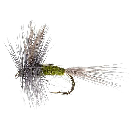 Perfect Hatch Dry Flies Blue Winged, Olive, #16, PHFLY106216P