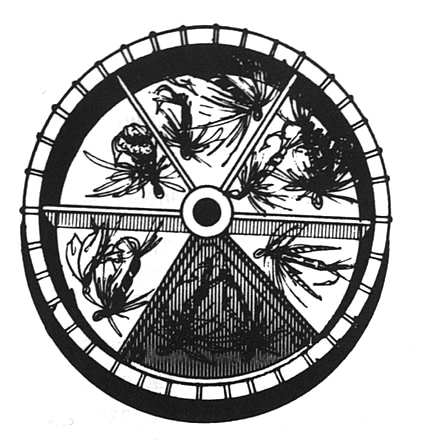 Pucci Fly Assortment