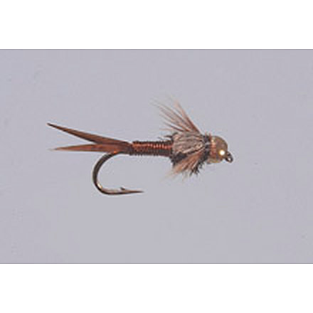 Rainys Beadhead Copper 14 Black