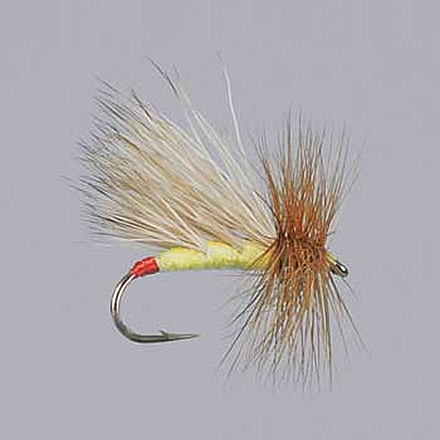 Rainys Js High Tie Caddis 16 Olive