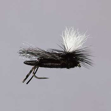 Rainys Zebra Copper 14 Red/Yellow