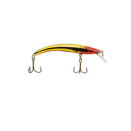 Reef Runner Little Ripper