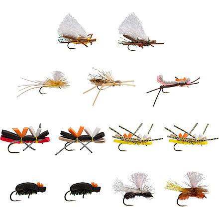 RIO Products Terrestrial Assortment, 6-F32367