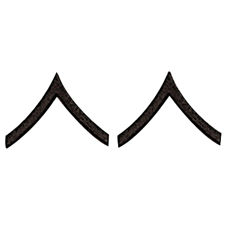 Rothco Private Insignia, Subdued, 1600-Subdued