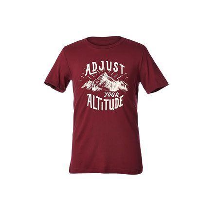 Royal Robbins Altitiude Men's Graphic Short Sleeve Tee Shirt, Cab, L 71141-CAB-L