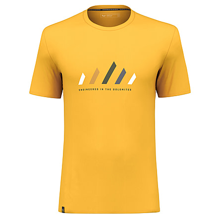 Salewa Pure Stripes Dry T-Shirt - Men, Extra Small, Gold, 00-0000028639-2190-XS