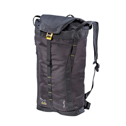 Salewa The Pig 35 Cool Haul Backpack