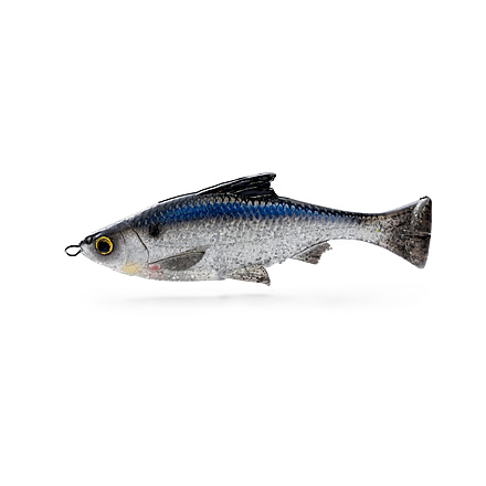Savage Gear Pulse Tail Shiner Loose Body Soft Bait, Pack of 1, 4in, Shad, 1585593