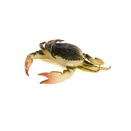 Savage Gear Toughtec Crab Soft Bait