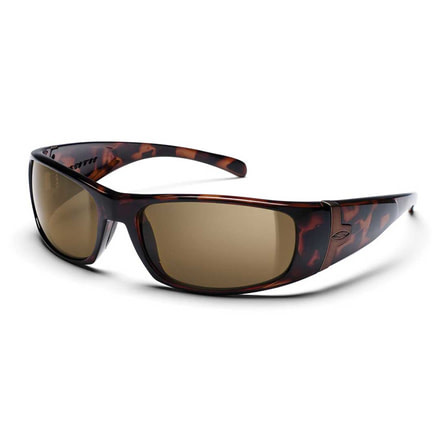 Shelter Tortoise Brown