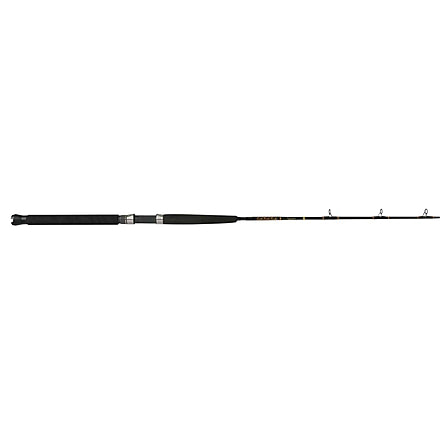 Star Rods Aerial Jigging Conventional Rod, Heavy, 50-80lb, Braid, 1 Piece, Eva Grips, 6, EXJC60H