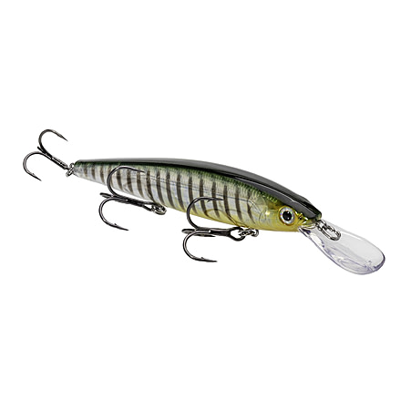Strike King KVD Sinking Deep Jerkbait Fishing Lure, Weight Transfer System, 4 3/4in, 3/5oz, Slow Sinking, SZ 2 and 4 Mustad Triple Grip Treble Hooks, Phantom Perch, HCKVDJ300DS-464