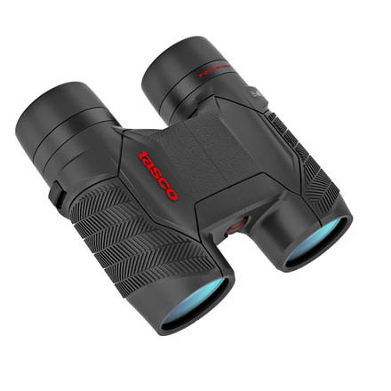 Tasco 8X32 Roof Focus Free Binoculars, Black, 100832